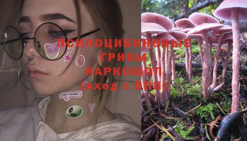 Псилоцибиновые грибы Magic Shrooms  Избербаш 